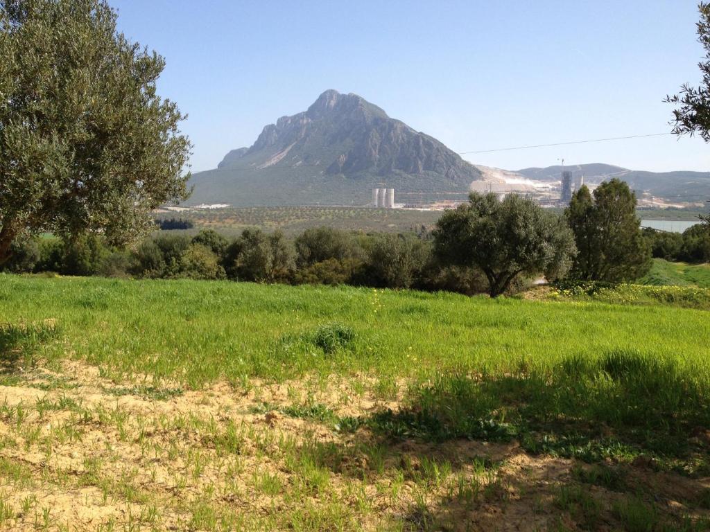 Dar Salima Bed and Breakfast Mornag Εξωτερικό φωτογραφία