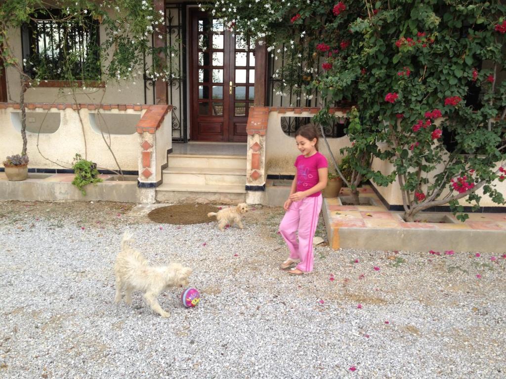 Dar Salima Bed and Breakfast Mornag Εξωτερικό φωτογραφία
